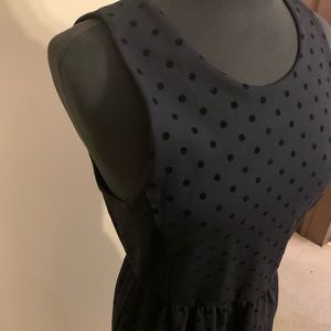JCrew Black Poka Dot Skater Dress